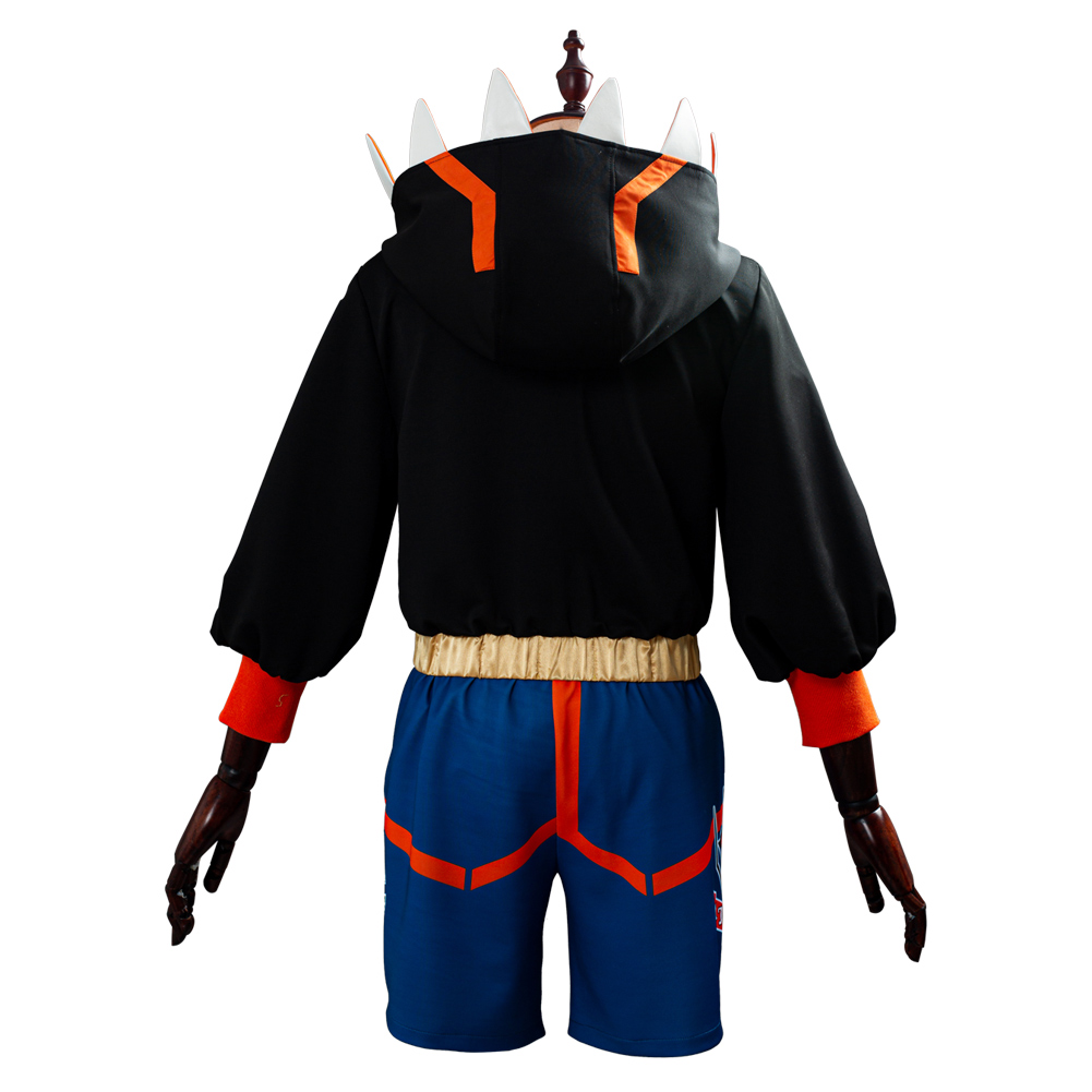 raihan pokemon hoodie