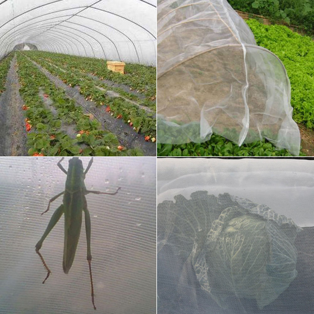 Bird net insect netinsect zoo protection net vegetable crop plant net X1A4