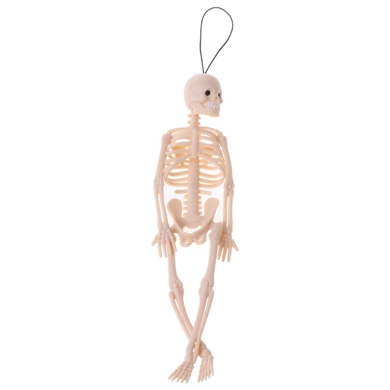 Skeleton Human Model Skull Full Body Figure Mini Toy Phone Hanger Halloween Gift