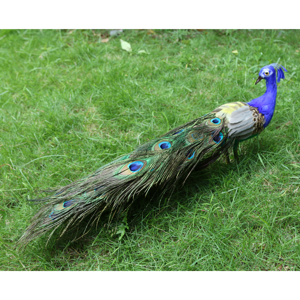 Artificial Peacock Bird Feathered Realistic Garden Home Decor Ornament 