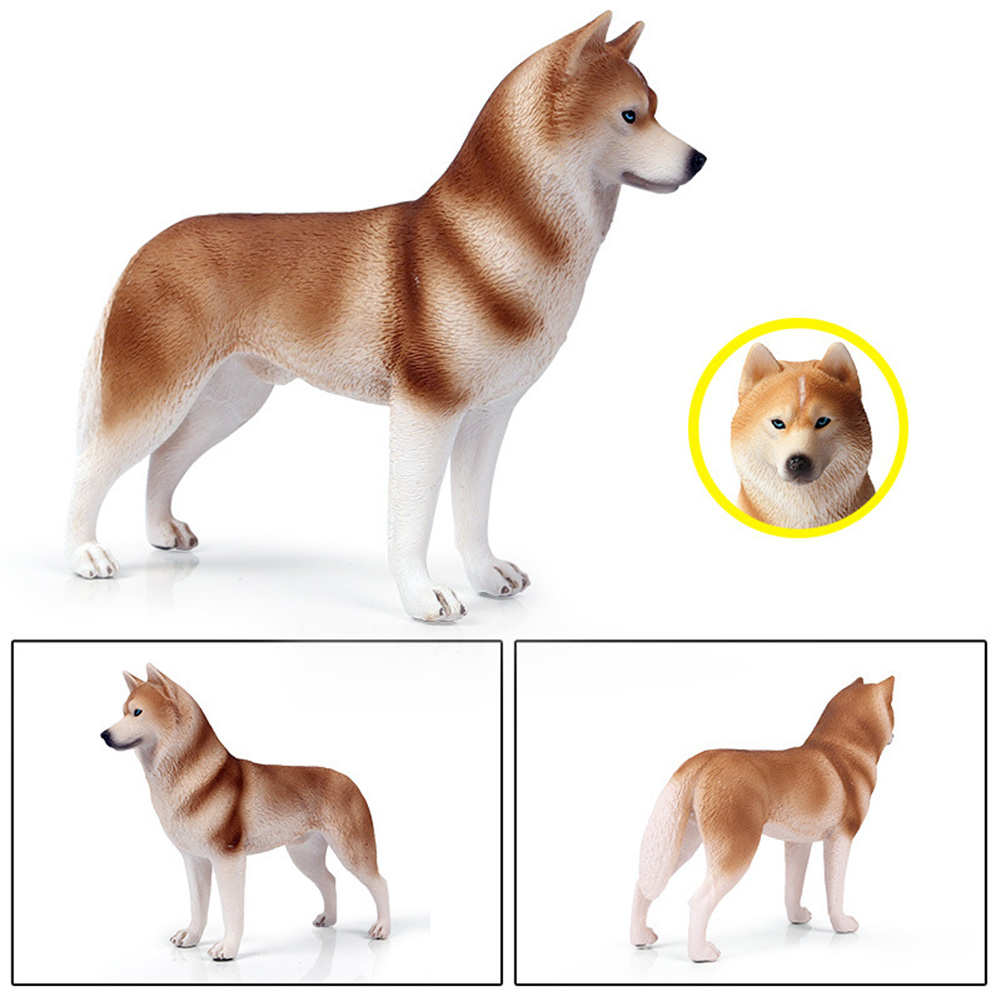 simulation husky dog