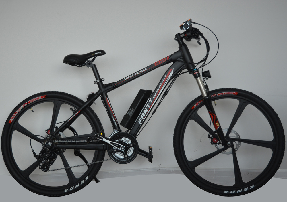 China Electric Bicycle 36V Lithium Battery Five speed 21 Speed Change 250W Disc Brakes Brushless Multifunction