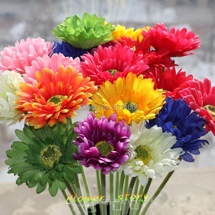 Aliexpress.com : Buy 50seeds African chrysanthemum flower seeds a 