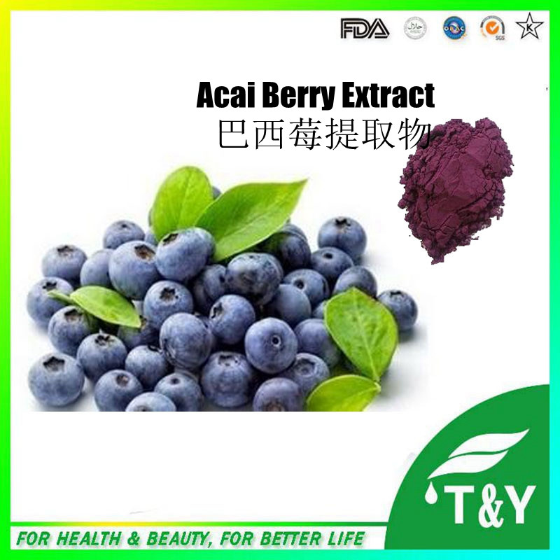 100% Natural acai berry brazil extract/acai berry extract/acai berry brazil powder 600g/lot