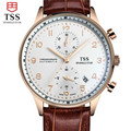TSS Gold shell coffee surface Relojes Hombre 2016 Mens Watches Top Brand Luxury waterproof Quartz Watch