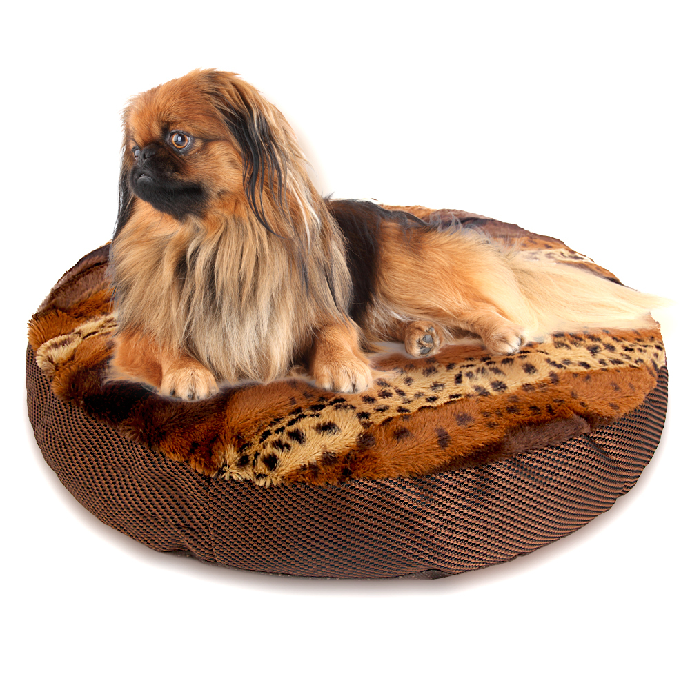 Hondenkennel ontwerp koop goedkope hondenkennel ontwerp loten van ...