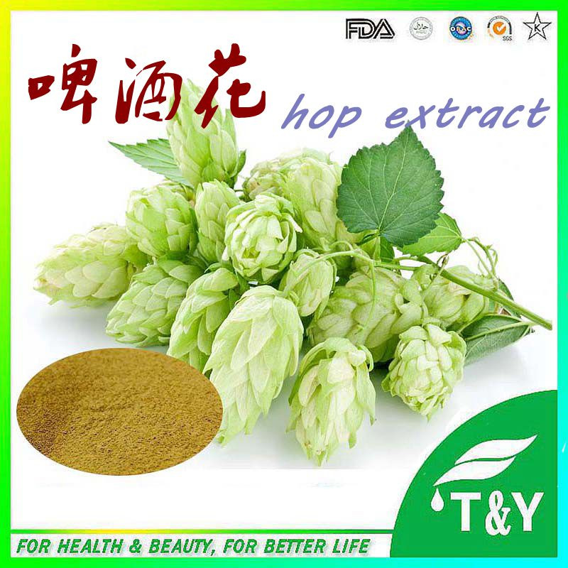 High quality Beer Hops Extract/Hops Flower Extract Powder
