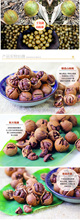Free Shipping Wild hickory nut 456g 228g 2bags Cream flavor Snacks China food New Arrivals