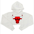 Free Shipping 2016 Autumn Women Men Sweatshirts Short Bull Printed Funny Fashion Female Long Sleeve Shirts