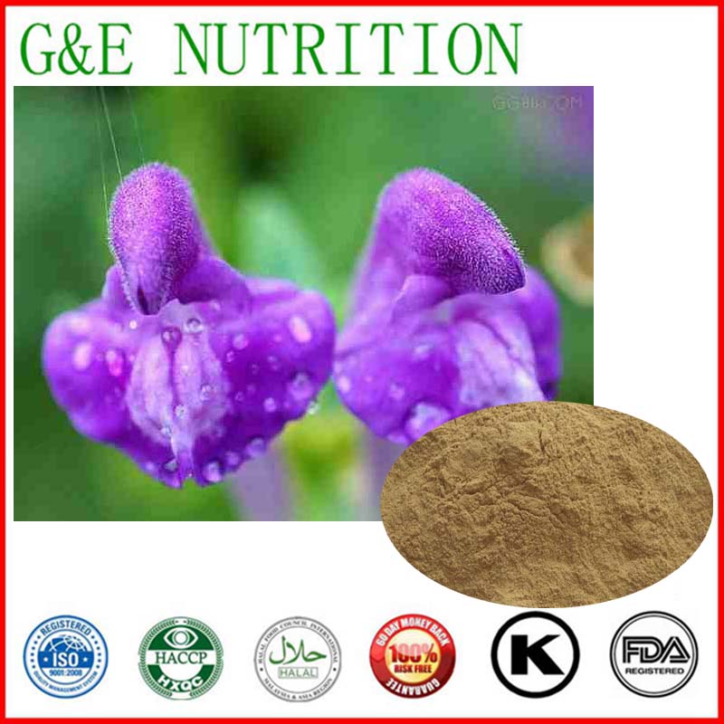 High Quality natural Scutellaria barbata extract 1 kg Plant P.E  2015