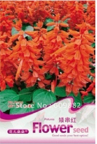 Карликовое дерево FLOWER GODDESS 3 * 30 A009 карликовое дерево flower goddess 3 nutate 50 a101