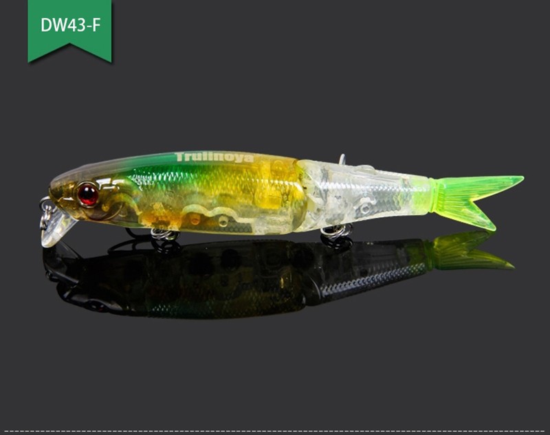 Trulinaoya Minnow 05