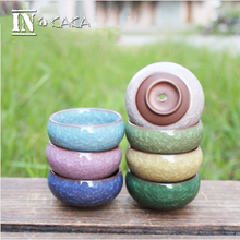 Mini round juicy plants flowers vase
