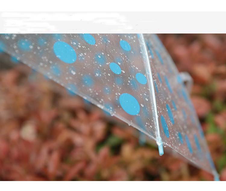 umbrella guarda chuva parapluie15.jpg