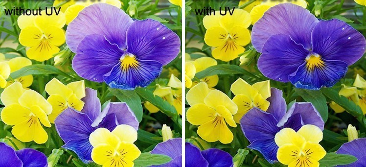 UV(3)