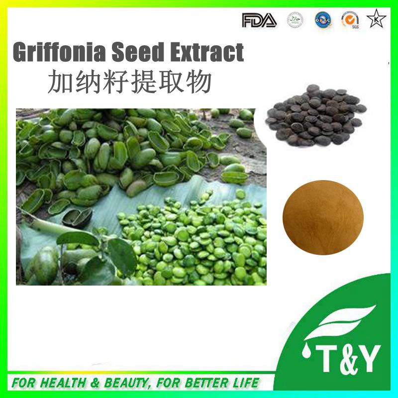 Pure Griffonia simplicifolia seed extract 5-HTP wholesale/5-Hydroxy Tryptophan powder/5-HydroxyTryptophan 400g