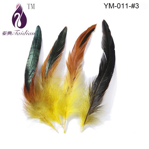Rooster feather-3