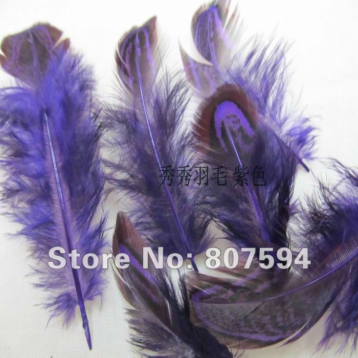 Retail Free Shipping 24 pcs 5 8cm party decorative feather pheasant plume feather natural feathers Clothing