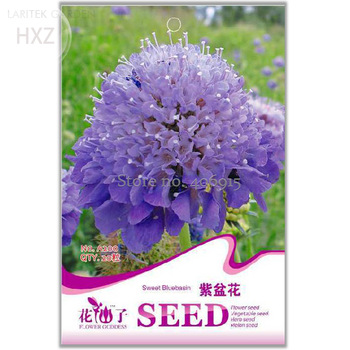 Purple Flower Seeds Sweet Blue Basin Seeds, Original Package, 20 seeds, fragrant ornamental flower light up your garden A200