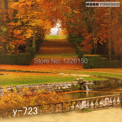 Mysterious scenic Backdrop Y723 10ft x20ft Hand Painted Photography Background estudio fotografico backgrounds for font b