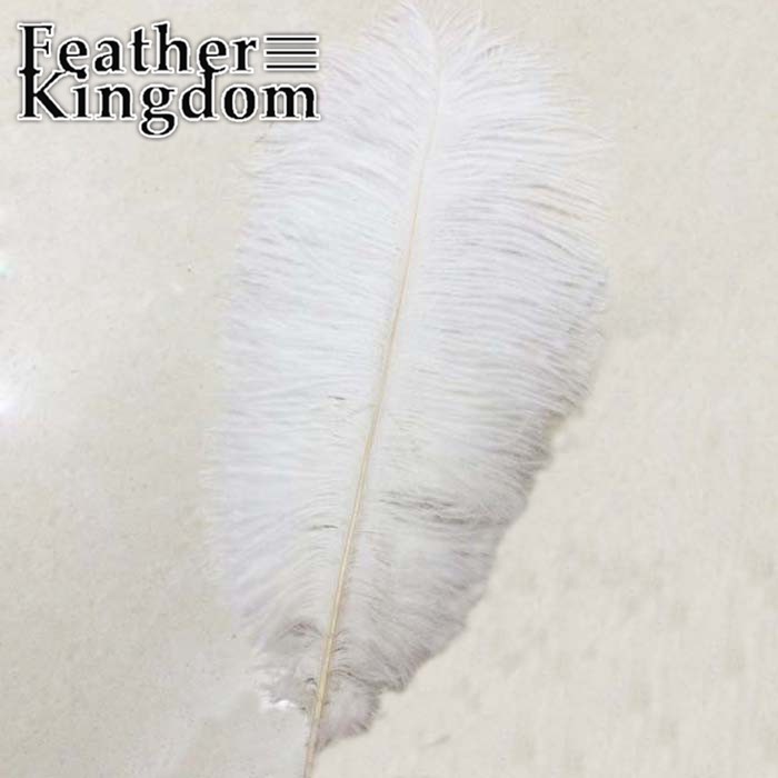 white ostrich feather