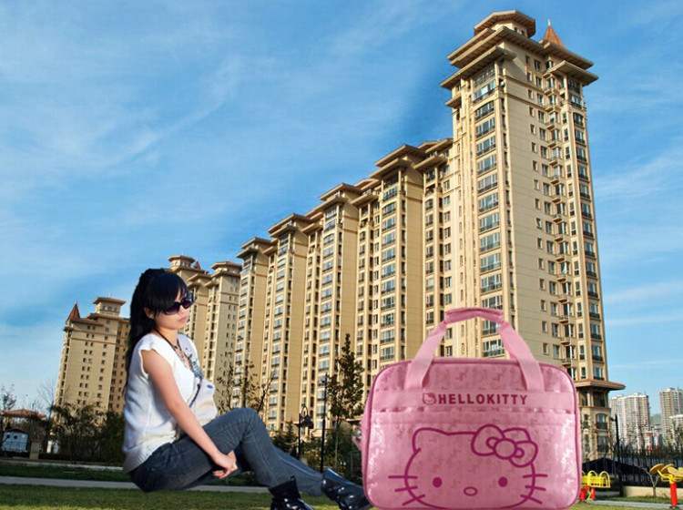 Pink Hello Kitty Mother Bag Baby Diager Bags Multifunctional Canvas Bolsa Maternidade Baby Mama Stroller Maternity Bag Travel (7)