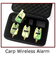 17-carp-wireless-alarm