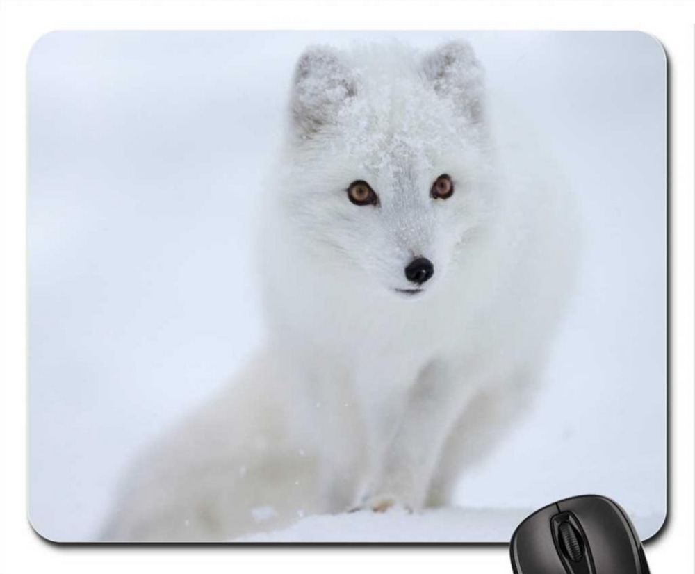 Top Quality Arctic White fox Mouse Pad Mat-in Mouse Pads from Computer