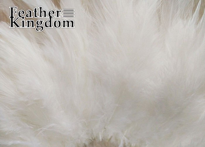 white rooster feather -700