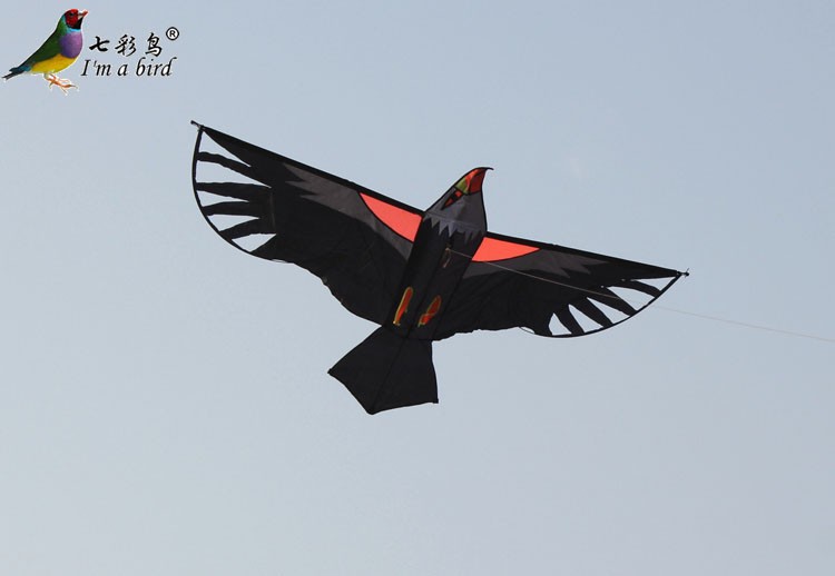 NEW 2m colorful Firebird Power long tail kite outdoor fun sports novetly Toys