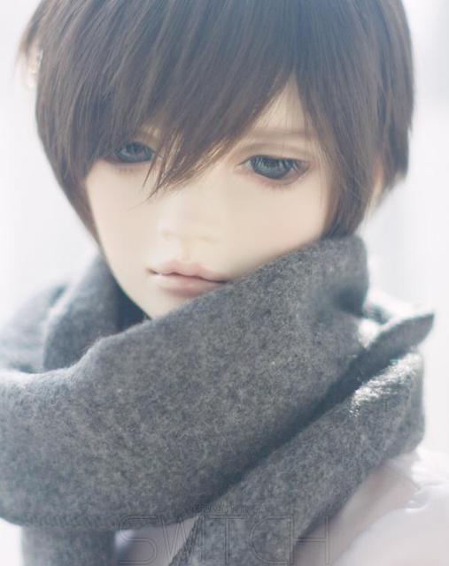 switch doll bjd