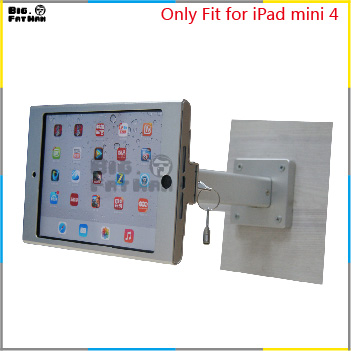   iPad mini 4            iPad mini 4   