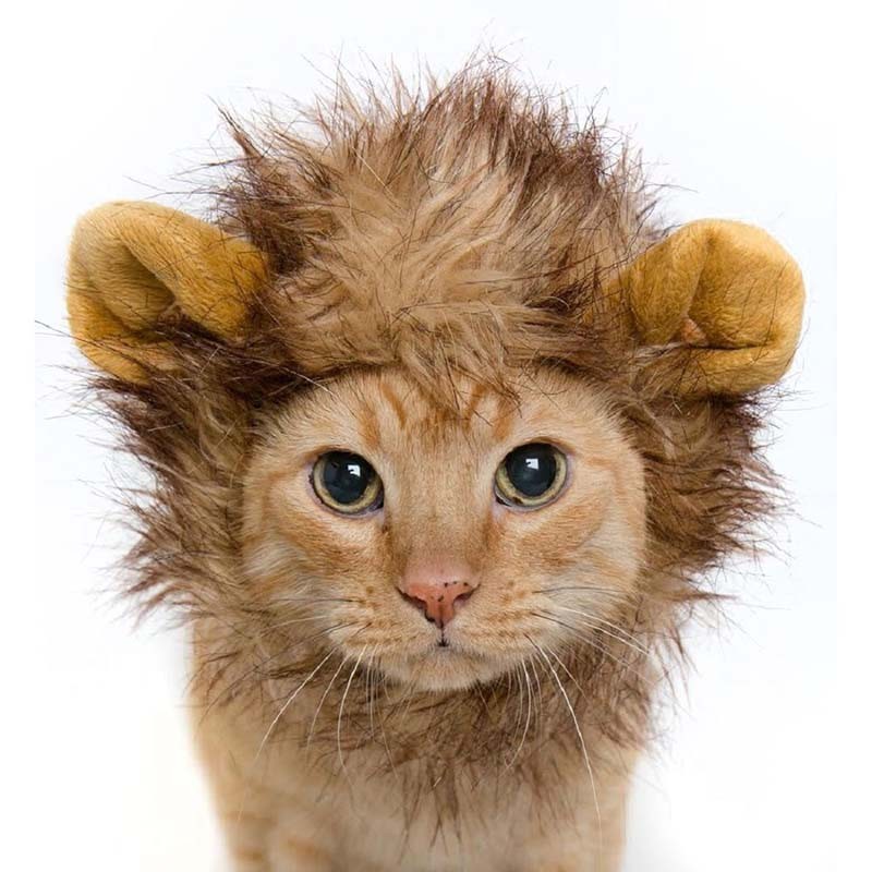 Pet Cat Dog Emulation Lion Hair Mane Ears Head Cap Autumn Winter Dress Up Costume Muffler Scarf (2)