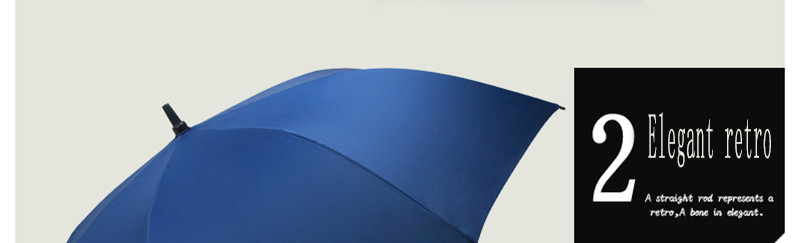 Umbrella 06