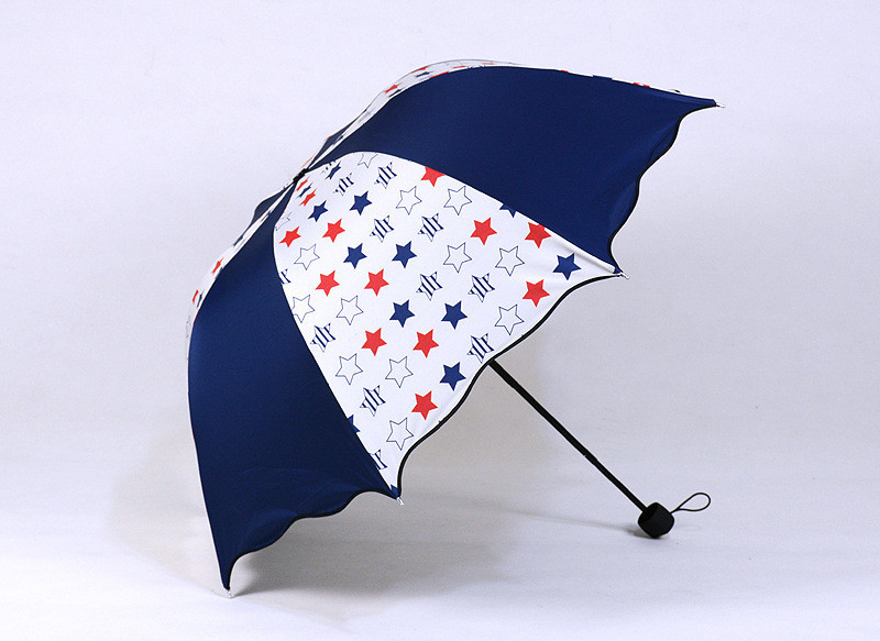 umbrella Paraguas26.jpg