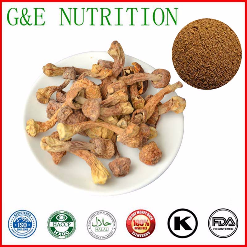 300g GMP Standard Agaricus subrufescens/ Agaricus blazei Murrill Extract with free shipping