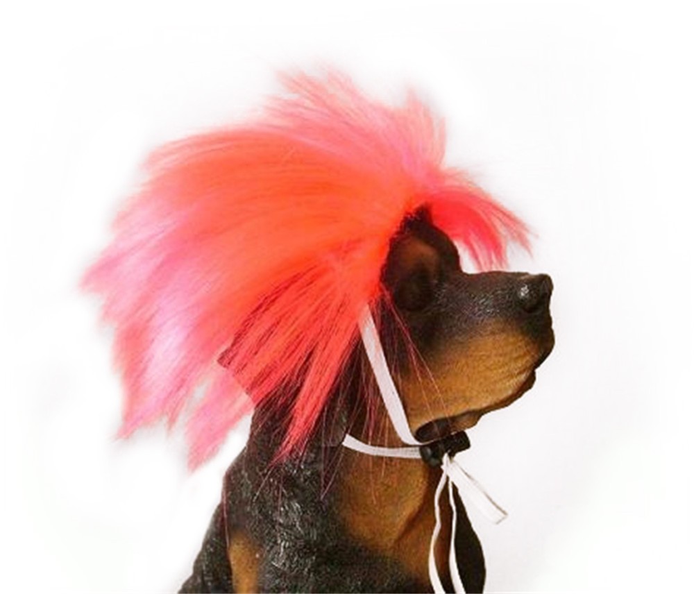 dog wig pink