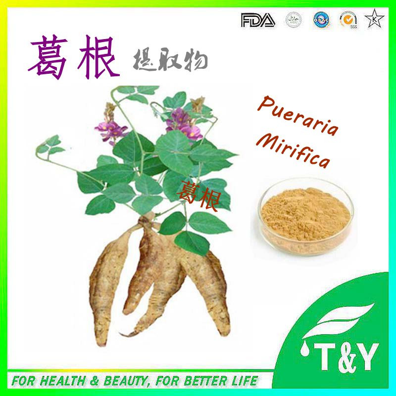 factory supply high quality kudzu vine /puerarin root extract Puerarin