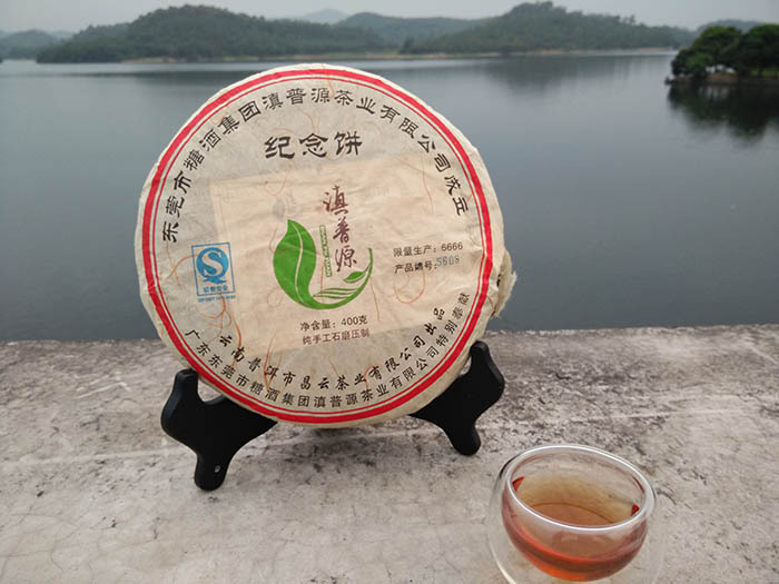 Shen Puer 400g 7 years Yunnan Chinese Tea Hand maded Compression Green Puerh Tea 