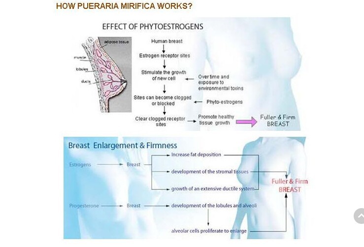 2 бутылки груди расширения & укрепляющие капсулы pueraria mirifica.