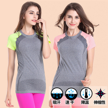 Women’s professional fitness sports quick-drying short-sleeve exercise clothes T-shirt Tee Shorts running