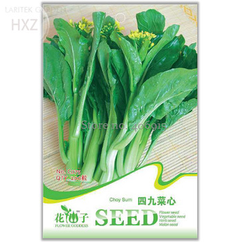 Forty-nine Choy Sum Cabbage Vegetable Seeds, Original Package, 200 seeds,organic brassica campestris bonsai vegetable seeds C075