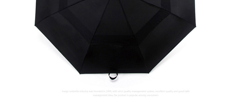 umbrella 03