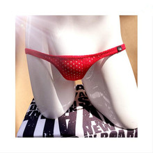 2016 new brand Gay underwear men briefs Shorts Sexy Transparent Mesh Sexy Men underpants Sexy Mesh Trunks sous vetement homme