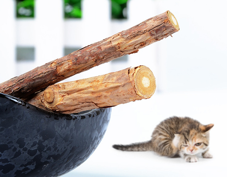 Кошка очистки зубов Чистый природный catnip кошка молярная Зубная Паста палку 2 Шт./пакет фрукты Matatabi кошка закуски палочки Фрэн