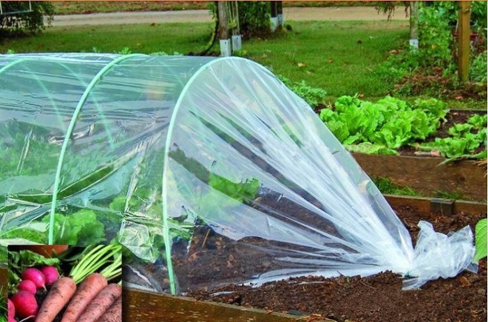    flower greenhouse plastic mulch garden mulch lucency mulch 0.jpg  greenhouse plastic thickness