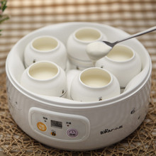 Bear SNJ 576 baby baby bear children yogurt machine automatic household ceramic liner cup honey
