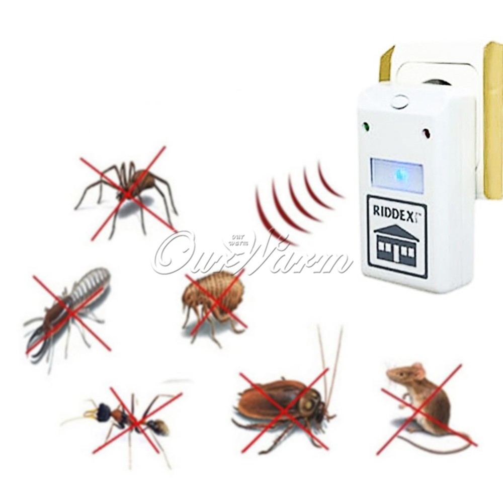 4QWQ-CSB-MG-WHT-1 (3)