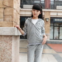 2015 new autumn summer children clothing sets baby girl velet sports suit kids twinset sportswear hoodies