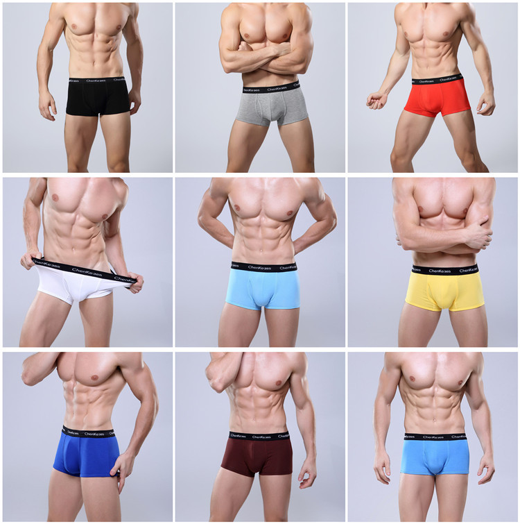 2015 New European Men s Boxer Shorts Men Mens Underwear Boxers Underwear Sexy Men Underwear Bermudas